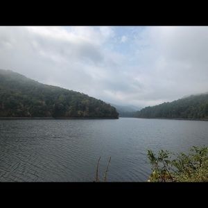 Meet your Posher, Bryan